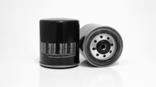 Fuel Filter (P4549A)