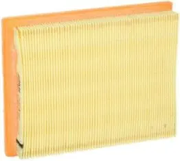 Air Filter (CA5496)