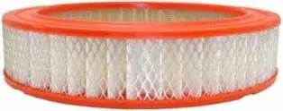 Air Filter (CA4325)