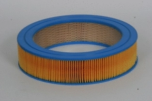 Air Filter (CA697)