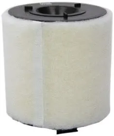 Air Filter (CA10822)