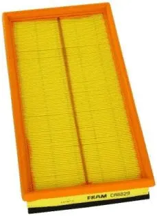 Air Filter (CA8829)