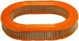 Air Filter (CA4831)