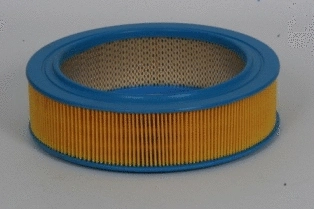 Air Filter (CA4171)