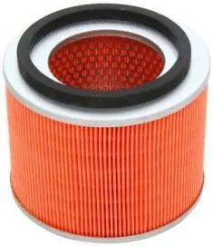 Air Filter (CA10664)