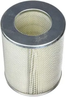 Air Filter (CA4255)