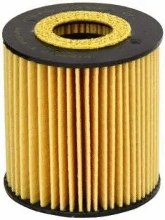 Oil Filter (CH8905ECO)