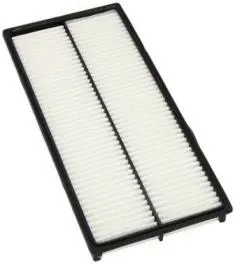 Air Filter (CA9019)