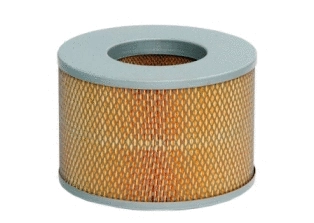 Air Filter (CA4818)