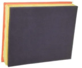 Air Filter (CA10697)