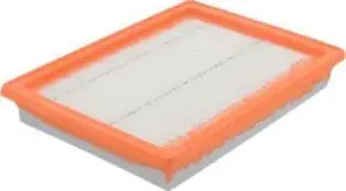 Air Filter (CA6900)