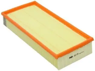 Air Filter (CA11100)