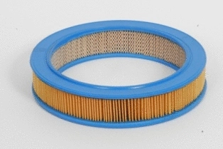 Air Filter (CA2701)