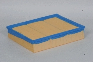 Air Filter (CA5539)