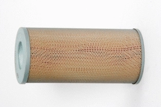 Air Filter (CA5345)