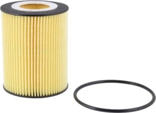 Oil Filter (CH10415ECO)