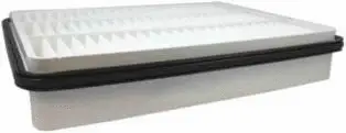 Air Filter (CA8918)