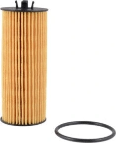 Oil Filter (CH10955ECO)