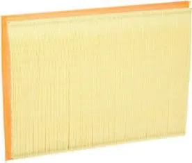 Air Filter (CA5400)