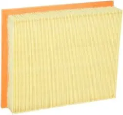 Air Filter (CA5891)