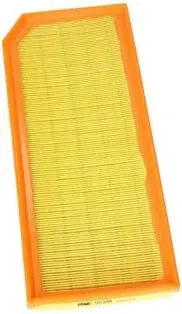 Air Filter (CA10256)