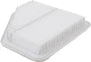 Air Filter (CA10169)