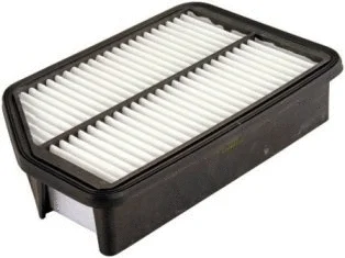Air Filter (CA10889)