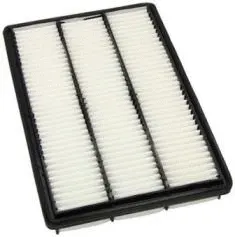 Air Filter (CA9542)