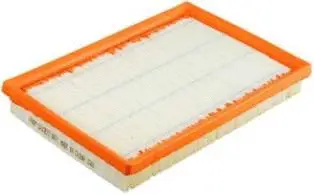 Air Filter (CA10677)