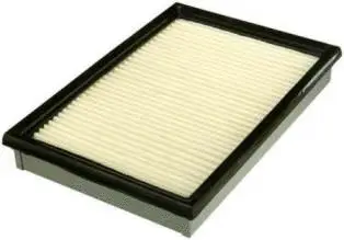 Air Filter (CA8121)