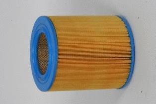 Air Filter (CA5785)