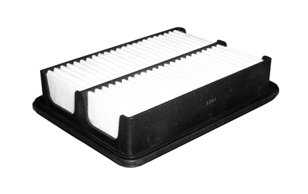 Air Filter (CA11859)