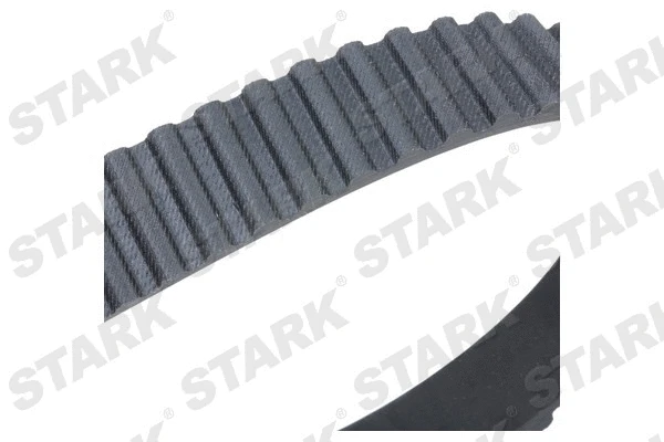 Timing Belt