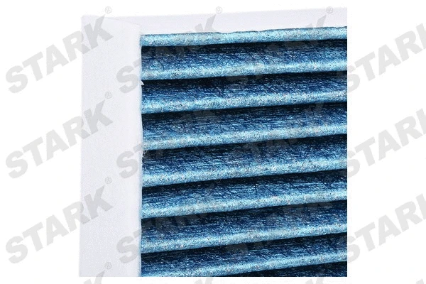 Filter, cabin air (SKIF-0170504)