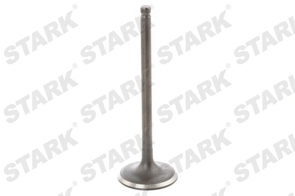 Intake Valve