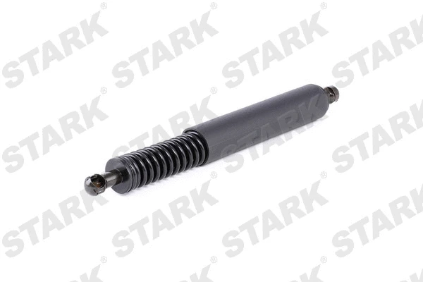 Gas Spring, boot/cargo area (SKGS-0220078)
