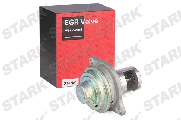 EGR Valve