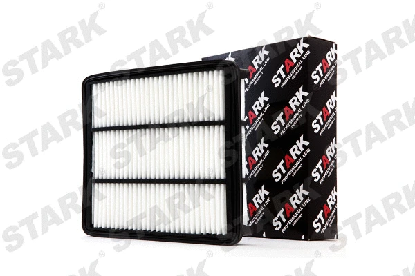 Air Filter (SKAF-0060168)