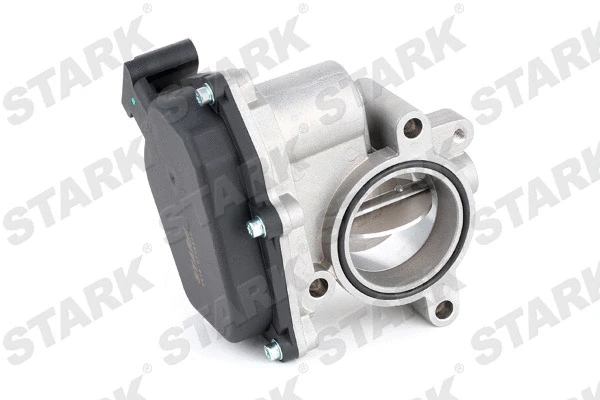 Throttle Body (SKTB-0430037)