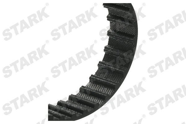 Timing Belt