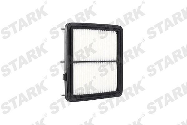 Air Filter (SKAF-0060295)
