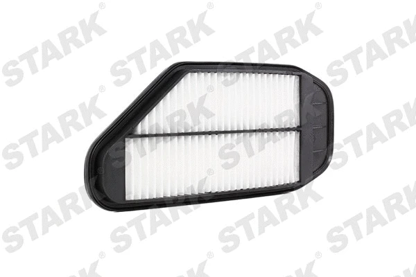 Air Filter (SKAF-0060301)