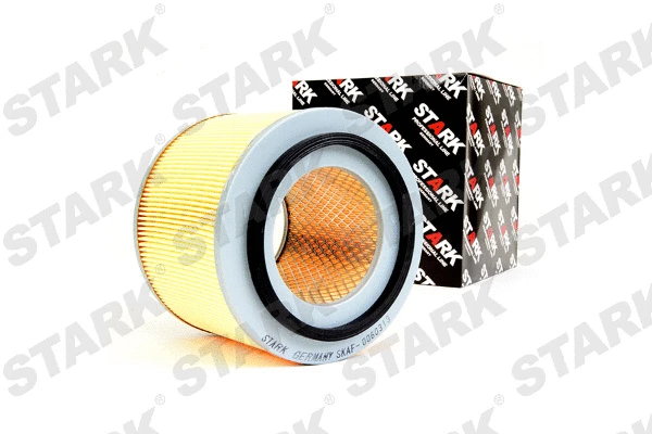 Air Filter (SKAF-0060313)
