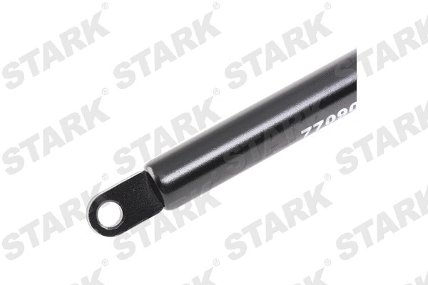 Gas Spring, boot/cargo area (SKGS-0220312)
