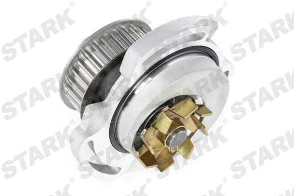 Water Pump & Timing Belt Kit