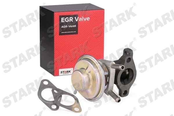 EGR Valve