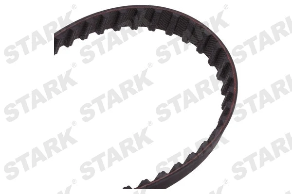 Timing Belt