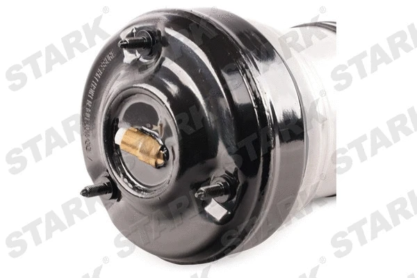 Air Suspension Strut