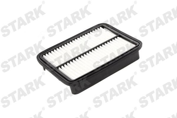 Air Filter (SKAF-0060429)