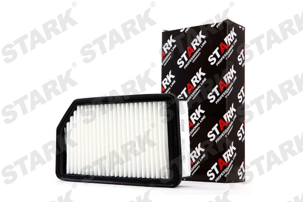 Air Filter (SKAF-0060195)